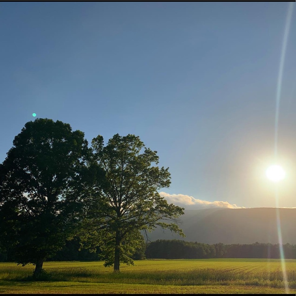 Meet your Posher, Jeffery